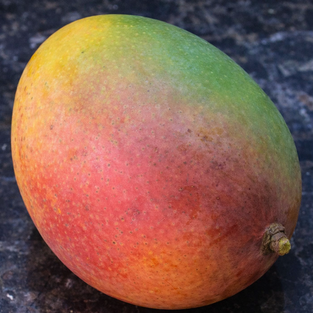 Mango ‘Fruit Punch' – Pot 18" (36–72")