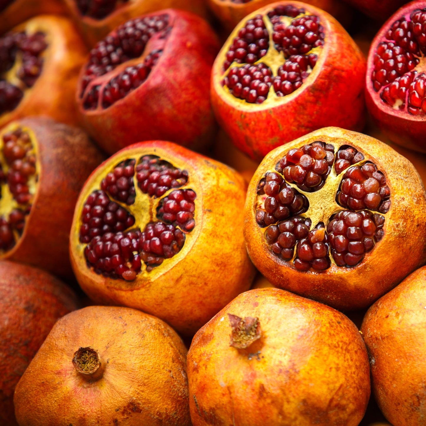 Pomegranate (Punica) 'Sirenevyi' (6-12'') – 4" pot