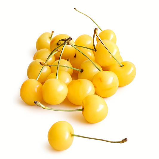 Cerisier de Jamaïque Jaune (Muntingia calabura) – Tropico-Québec