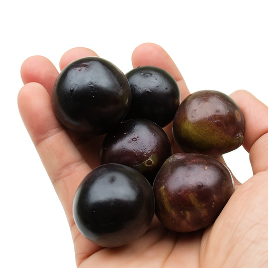Jaboticaba ‘Grimal’ (Plinia sp./trunciflora) – Tropico-Québec