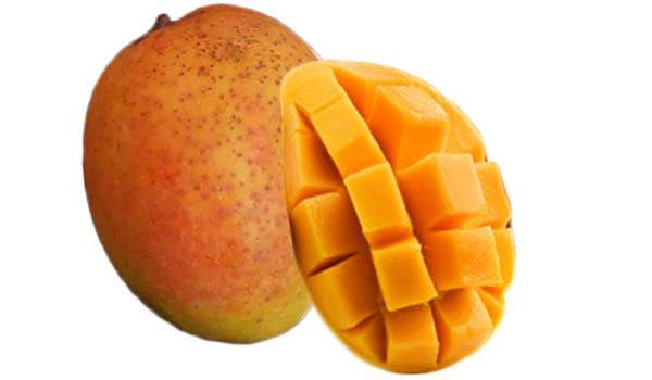 Manguier ‘Cotton Candy’ Pot 10" (24–48")