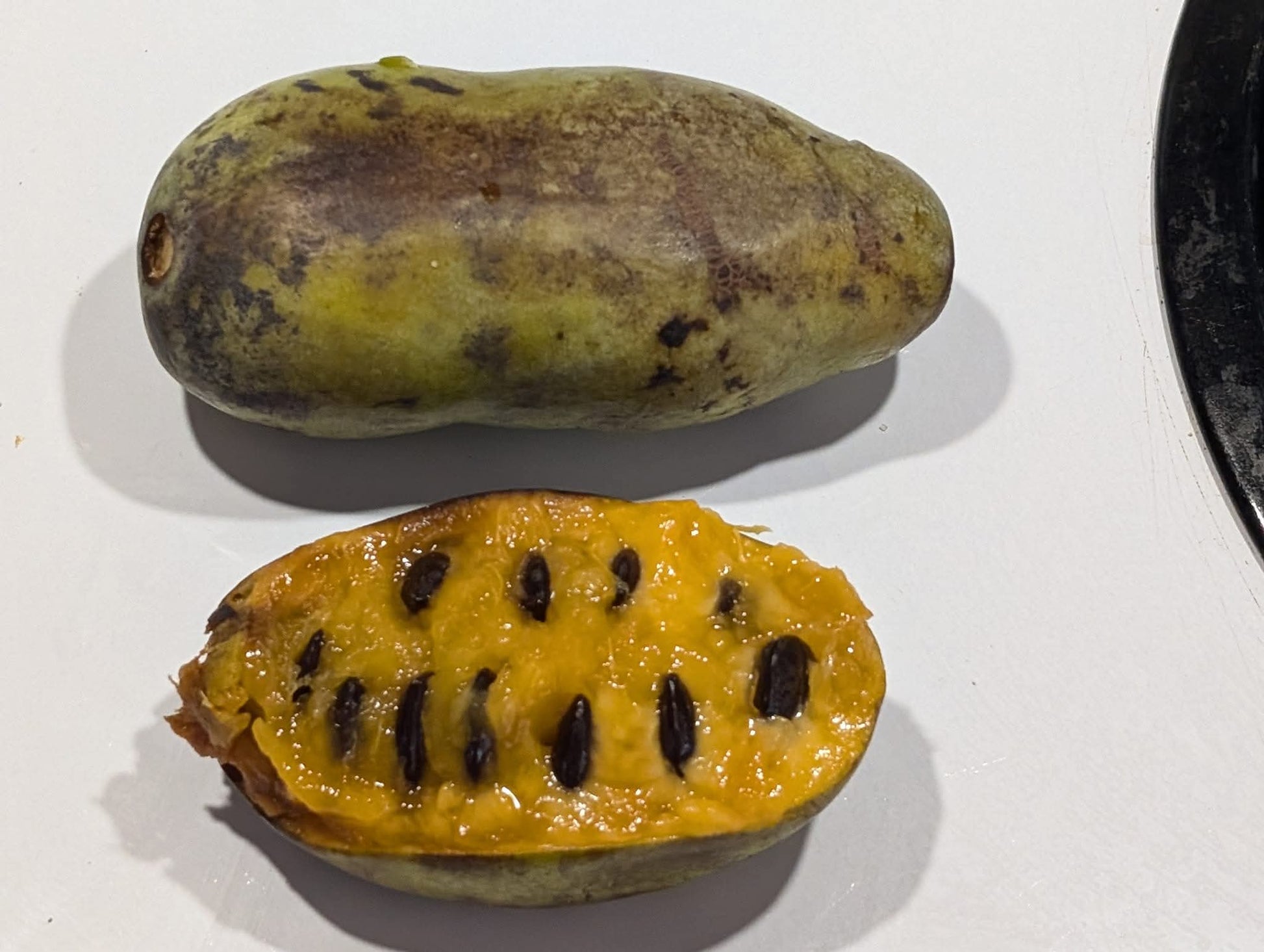 Pawpaw (asiminier, Asimina triloba) – gros fruits mur