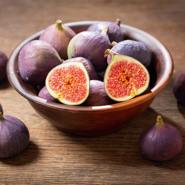 Figuier ‘LSU Purple’ (Ficus carica) aux figues pourpres – Tropico-Québec