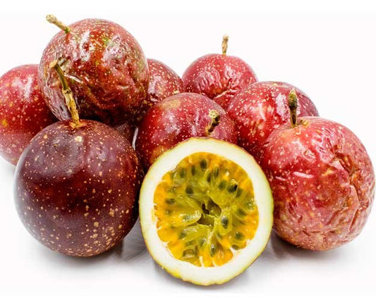 Fruit de la passion ‘Panama red ’ – Pot 10" (24–48")