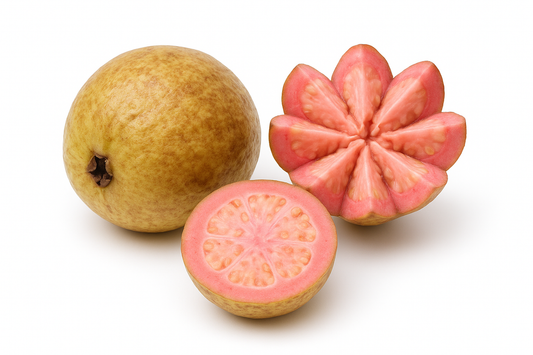 Goyavier ‘Thai Maroon’ – fruits de goyave à chair colorée/nuancée, variété tropicale de collection – Tropico-Québec