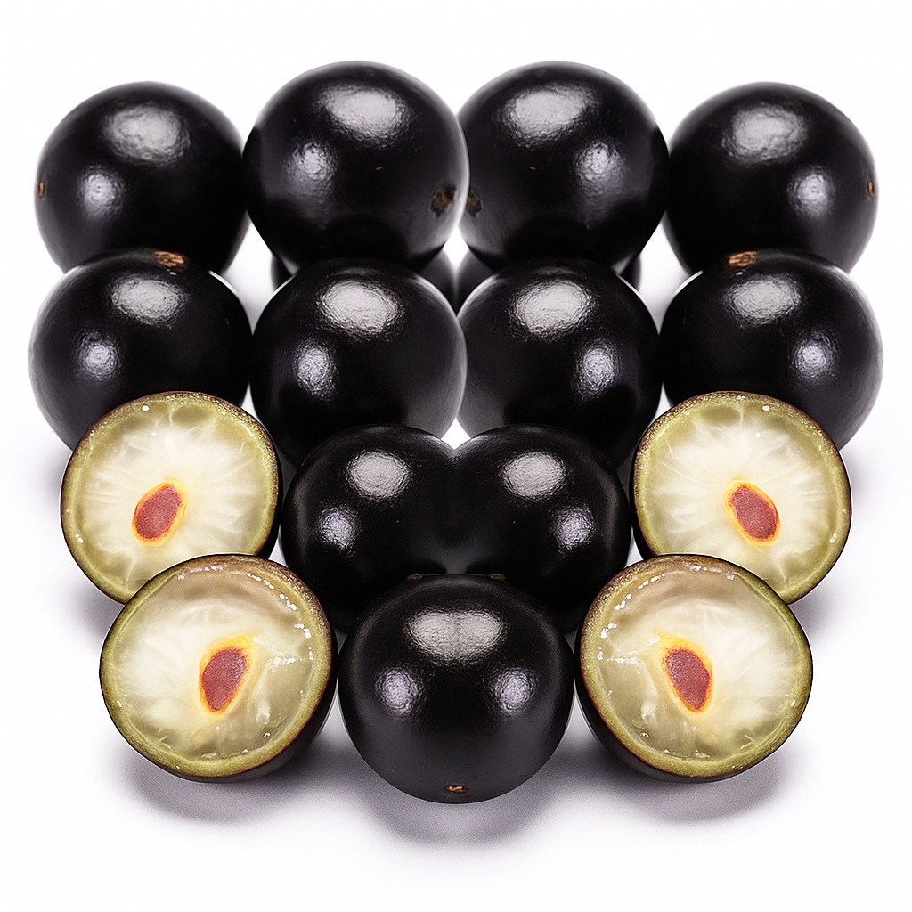 Jaboticaba ‘Sabará’ (Plinia jaboticaba) – fruits noirs directement sur le tronc, variété très sucrée et recherchée – Tropico-Québec