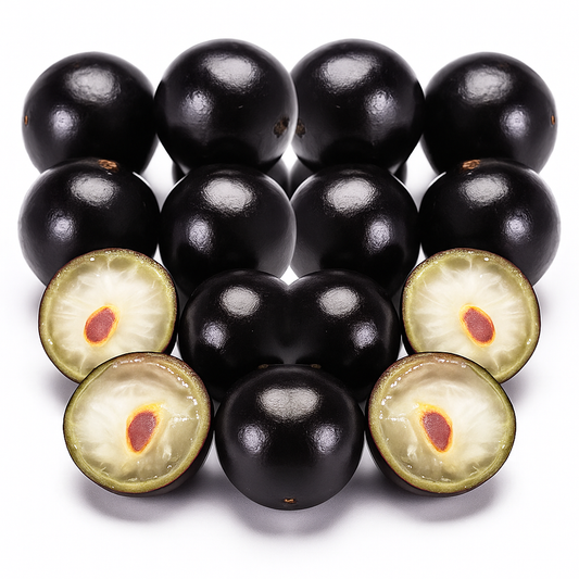 Jaboticaba ‘Sabará’ (Plinia jaboticaba) – fruits noirs directement sur le tronc, variété très sucrée et recherchée – Tropico-Québec