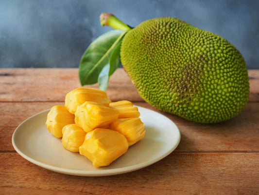 Jacquier ‘Honey Gold’ (Artocarpus heterophyllus) – jackfruit très sucré et parfumé, pulpe jaune dorée, arbre tropical de collection en serre – Tropico-Québec
