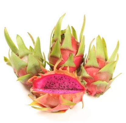 Pitahaya (fruit du dragon) ‘Cosmic Charlie’ – Selenicereus – Tropico-Québec