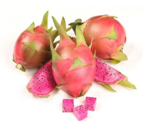 Pitahaya (fruit du dragon) ‘Haley’s Comet’ – Selenicereus – Tropico-Québec