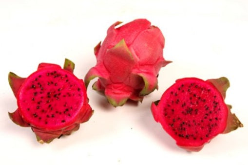 Pitahaya (fruit du dragon) ‘Natural Mystic’ – Selenicereus – Tropico-Québec