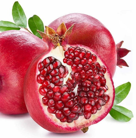 Grenadier (Punica) ‘Wonderful’ (6-12'') – Pot 4"